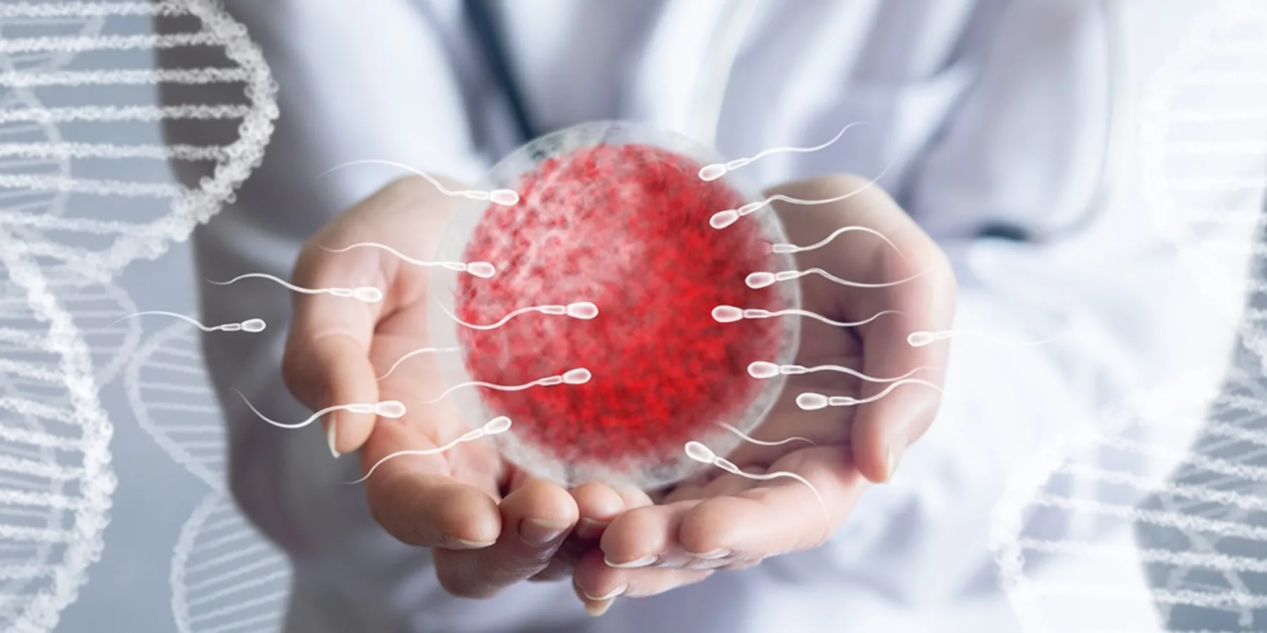 Fertility Consultation