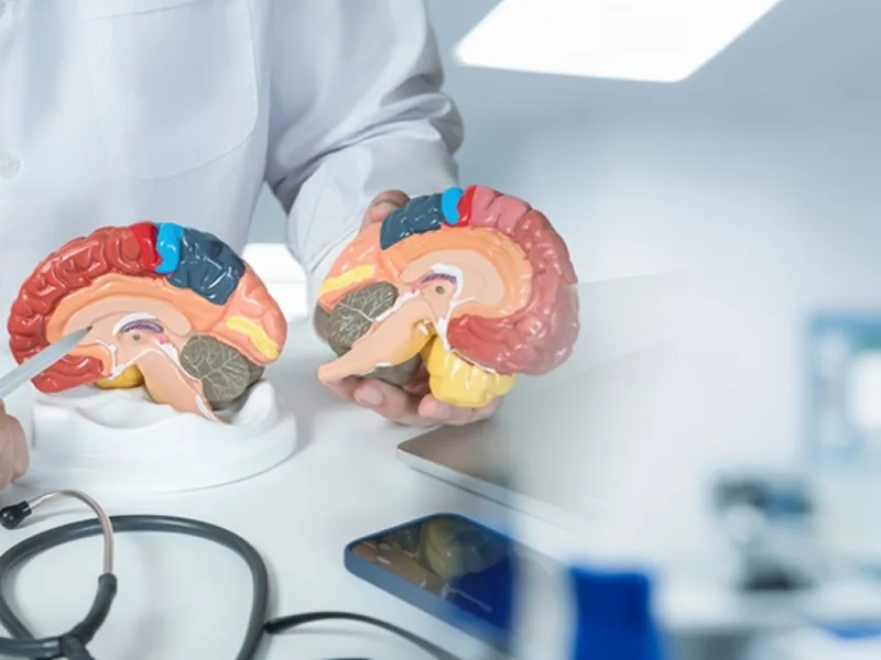 Neuroscience at Prayag Hospital