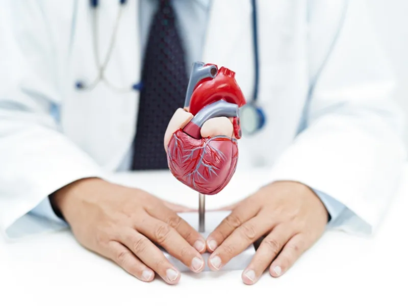 Cardiac Care at Prayag Hospital